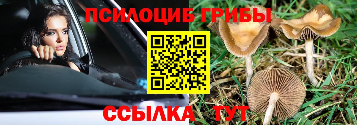 Балаково  Галлюциногенные грибы GOLDEN TEACHER  закладки  Вход с VPN 