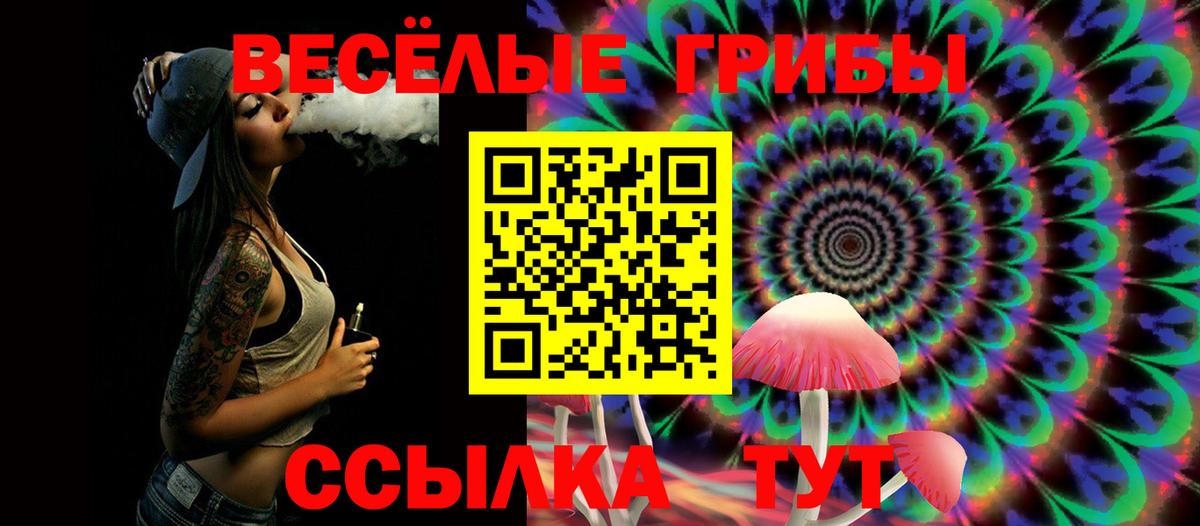 Галлюциногенные грибы Psilocybine cubensis Балаково